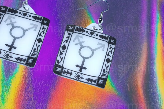 Sam Makes Things Earrings Alternative Pride Stylized Handmade Earrings collaboration with saltnox